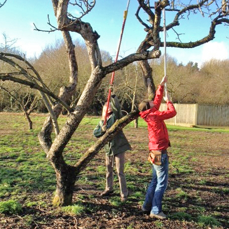 Bethlem Royal Hospital orchard volunteer sessions