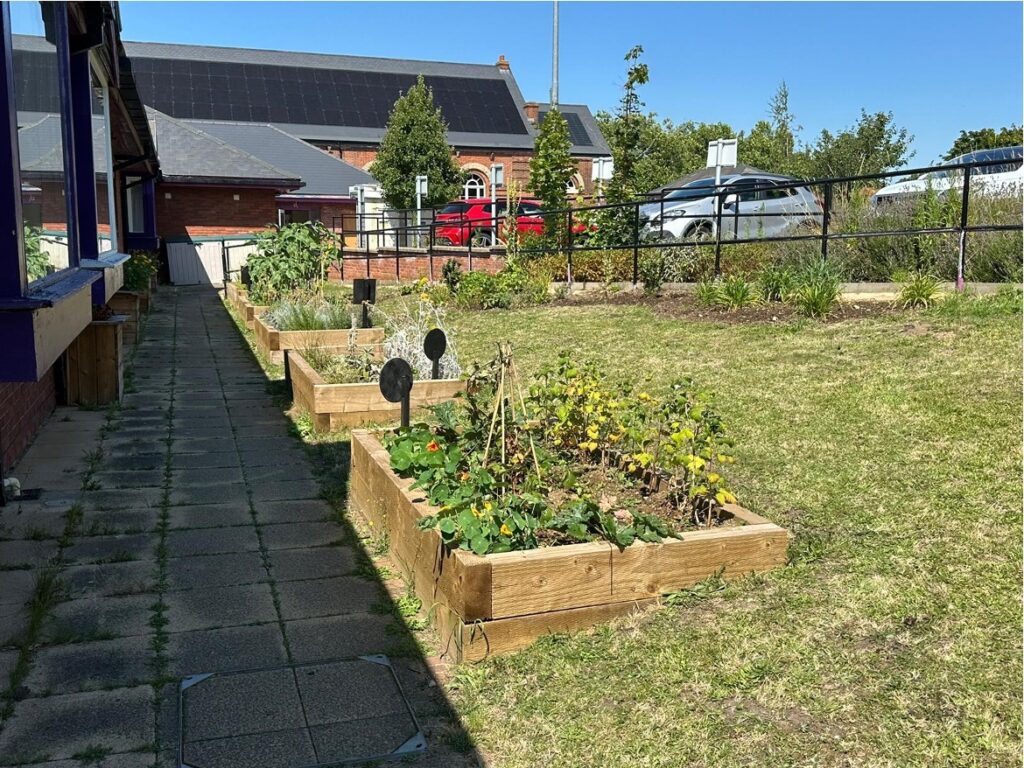 Abbey Field Medical Centre green space. Photo: Hattie White/CSH. Attribution 4.0 International (CC BY 4.0).
