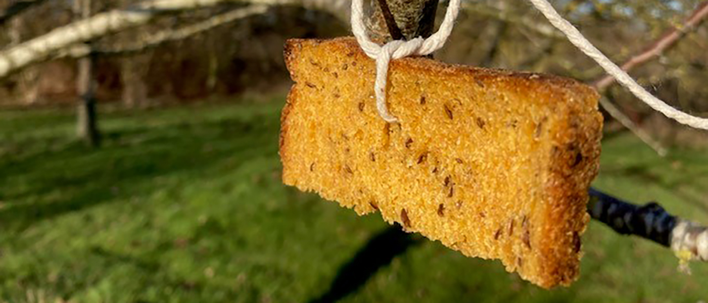 Bread in tree for wssail. Darwin Nurseries. All rights reserved.