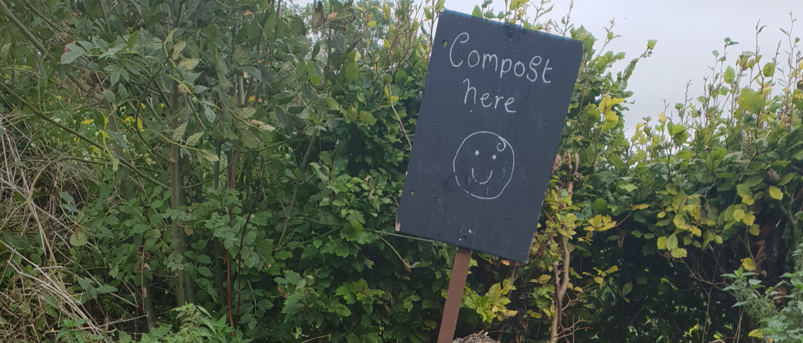 Darwin Nurseries. Images shows hedges with a slate sign with "compost here" written on it with a smiley face, Pig at Darwin Nurderies. Photo: Darwin Nurseries. All rights reserved.