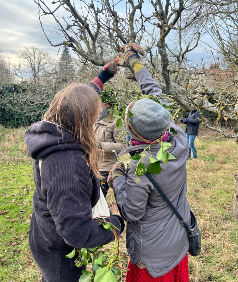 Wassail 2024. Photo - Hattie White. Attribution 4.0 International (CC BY 4.0).